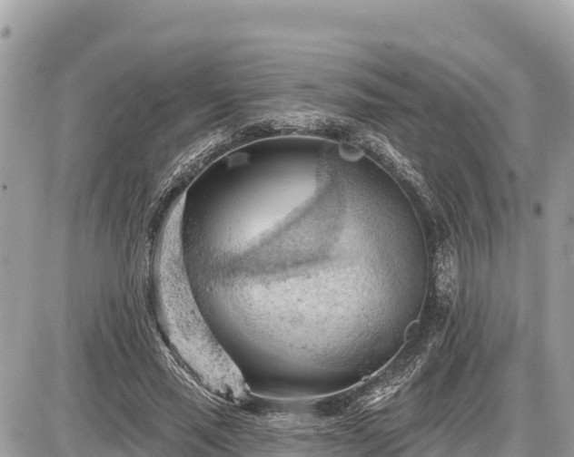 X0000087550637200705041329