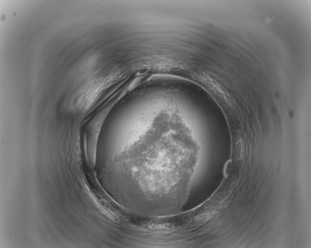 X0000087550638200705041329