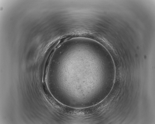 X0000087550640200705041329