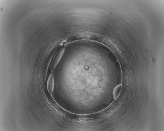 X0000087550641200705041329