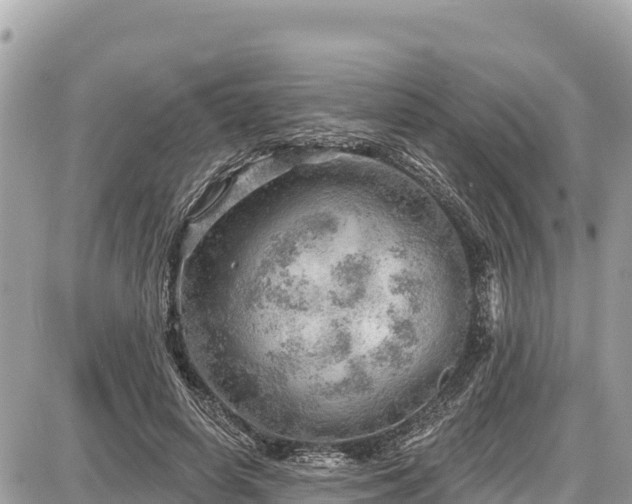 X0000087550642200705041329