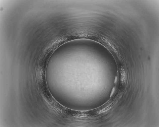 X0000087550643200705041329