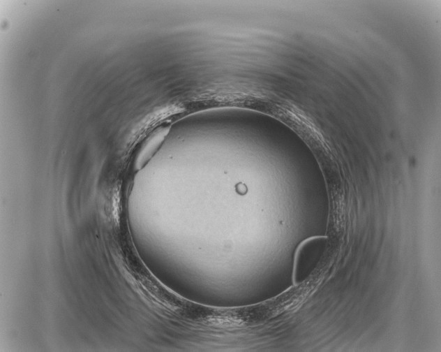 X0000087550644200705041329