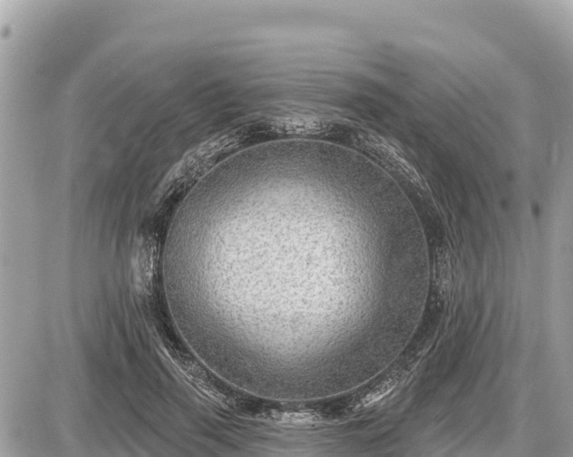 X0000087550645200705041329