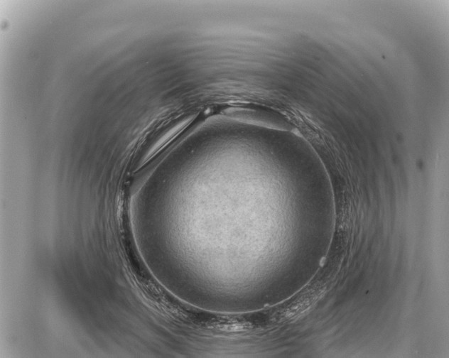 X0000087550646200705041329