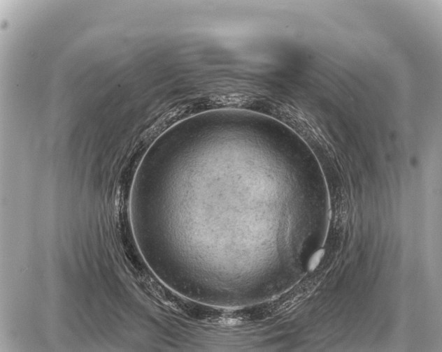 X0000087550647200705041329