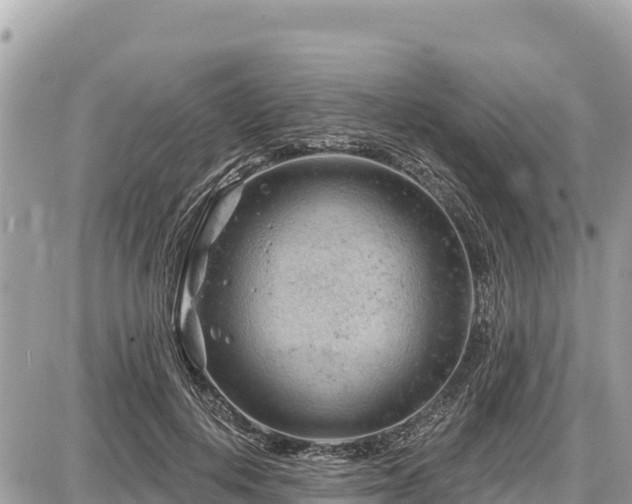 X0000087550648200705041329