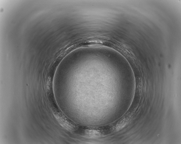 X0000087550649200705041329