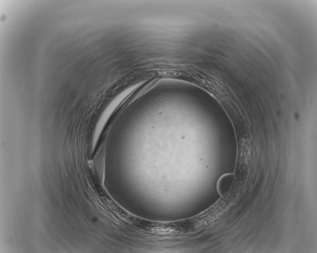 X0000087550650200705041329