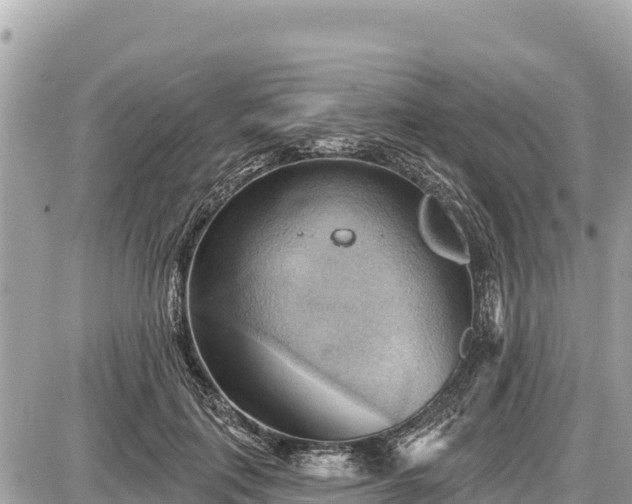 X0000087550651200705041329