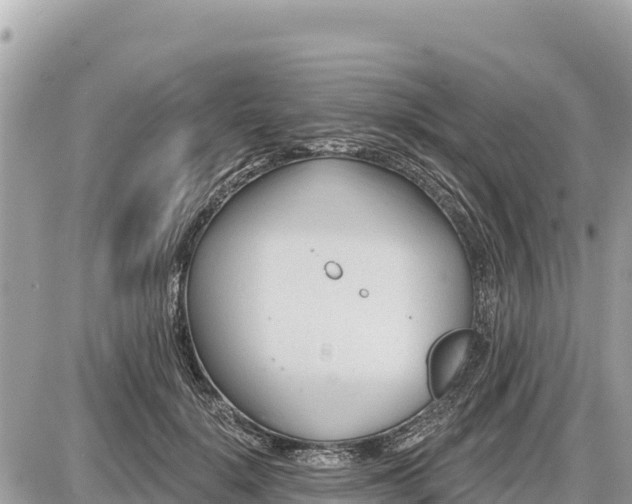 X0000087550652200705041329