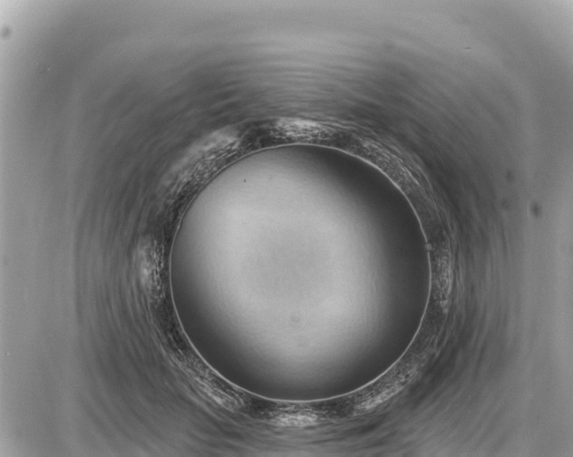 X0000087550653200705041329