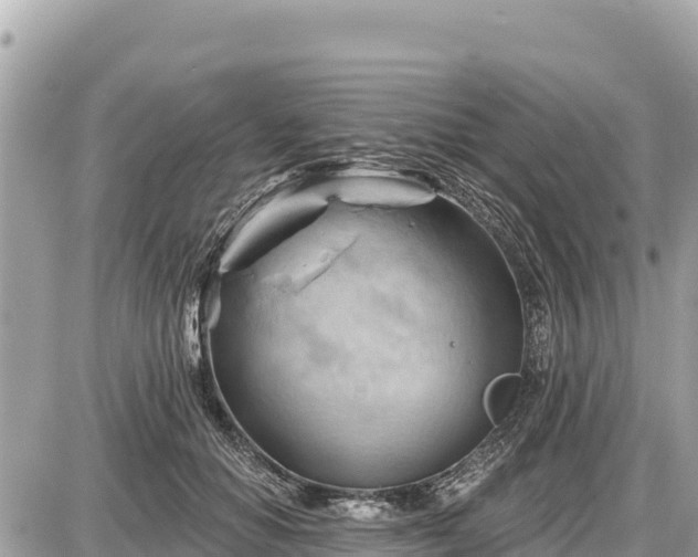 X0000087550654200705041329