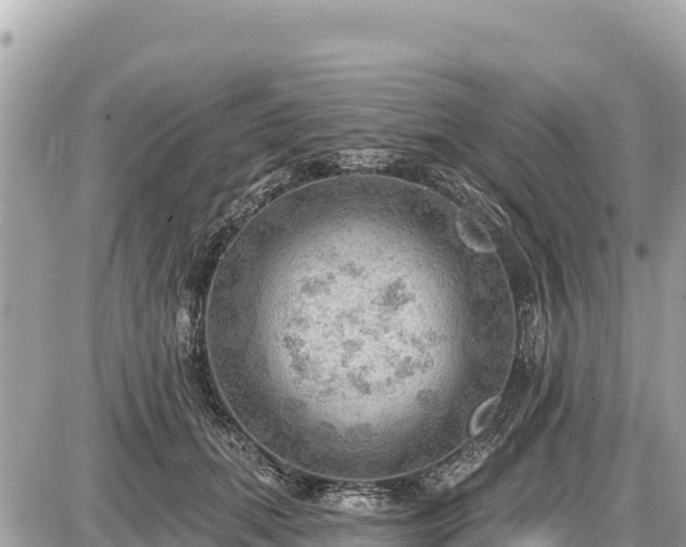 X0000087550655200705041329