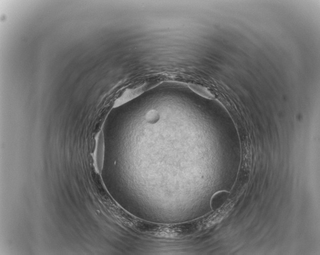 X0000087550656200705041329