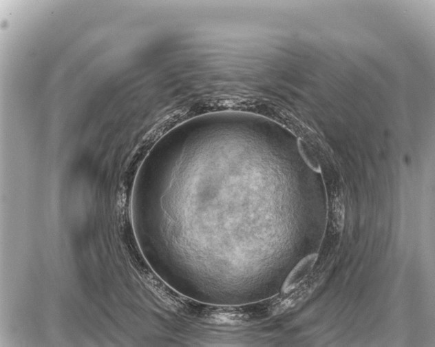 X0000087550657200705041329