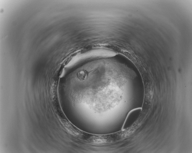 X0000087550658200705041329