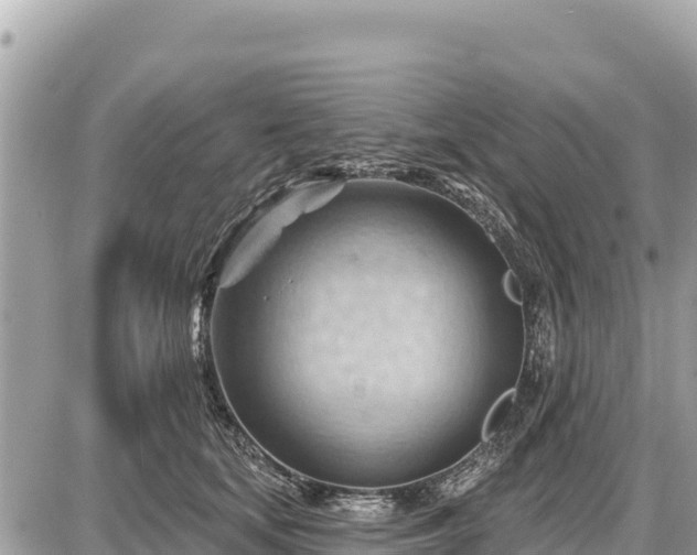 X0000087550659200705041329