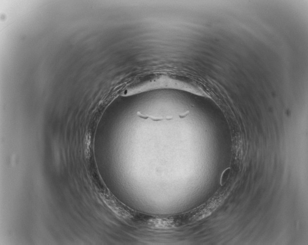 X0000087550660200705041329