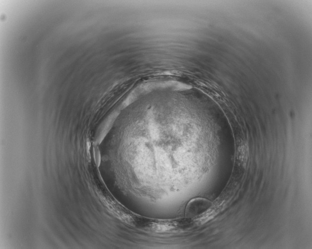 X0000087550662200705041329