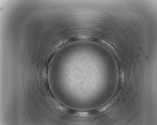 X0000087550665200705041329