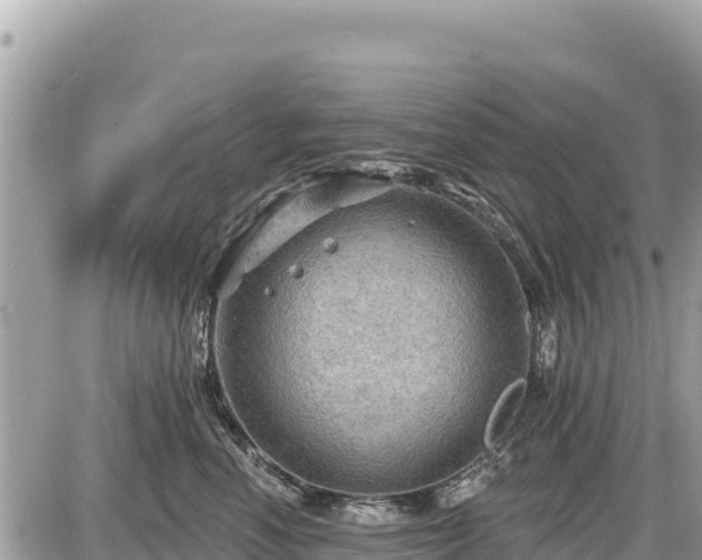 X0000087550666200705041329