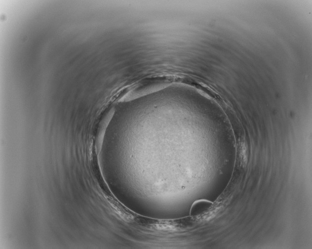 X0000087550668200705041329