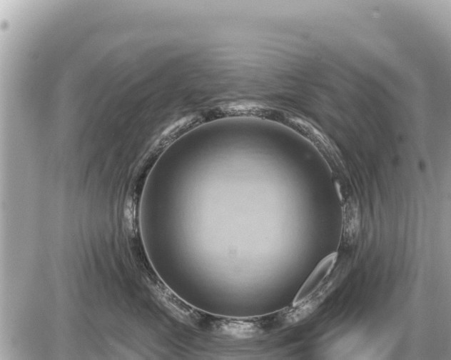 X0000087550669200705041329