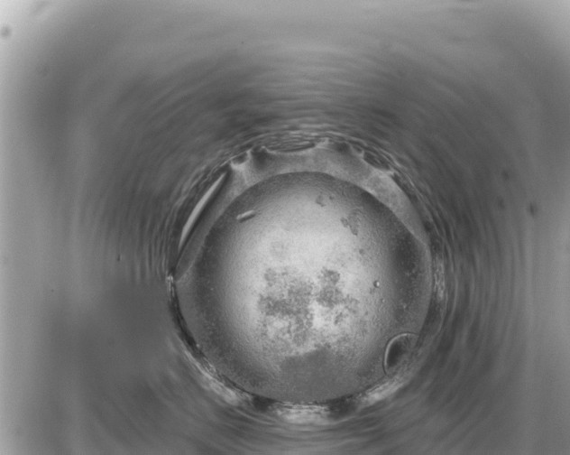 X0000087550670200705041329