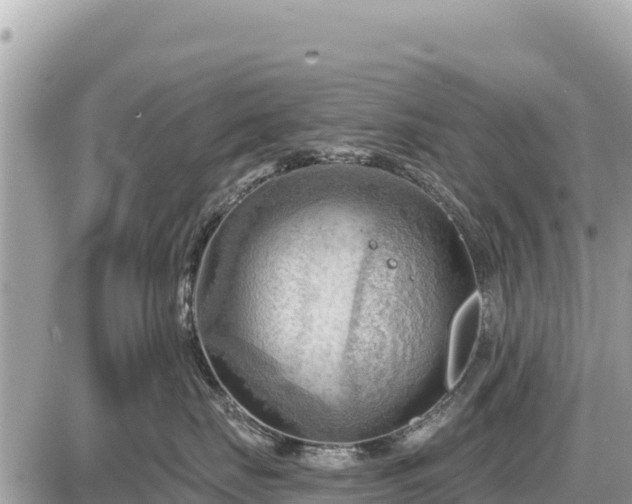 X0000087550671200705041329