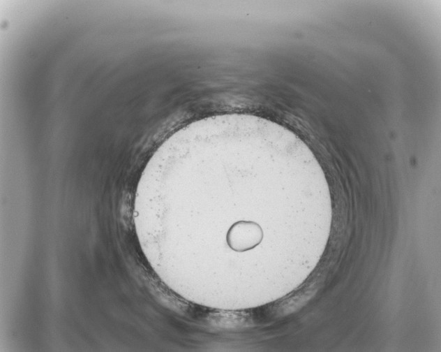 X0000087550672200705041329