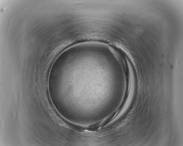 X0000087550673200705041328