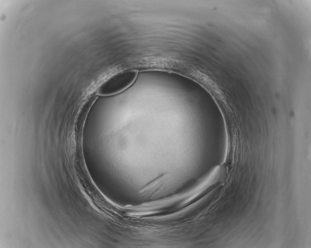 X0000087550674200705041328