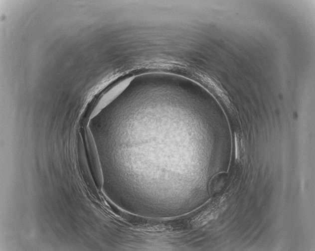 X0000087550675200705041328