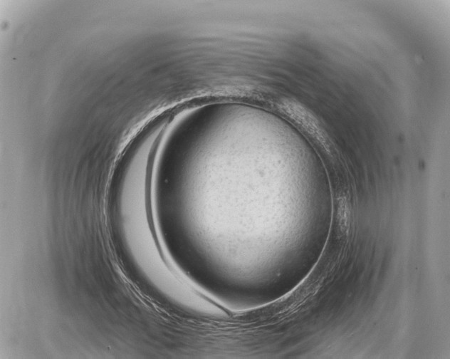 X0000087550676200705041328