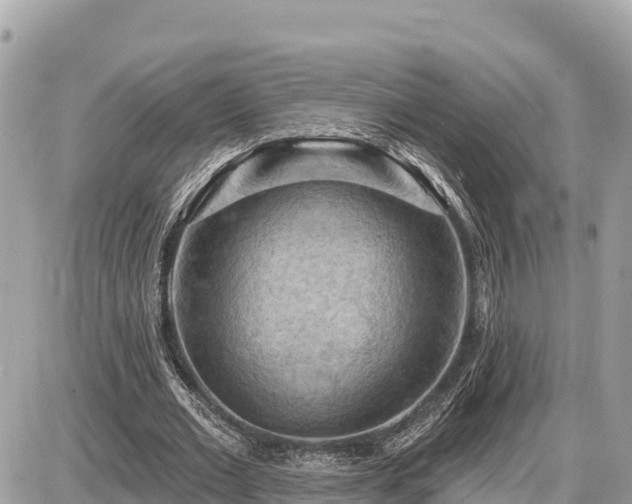 X0000087550677200705041328