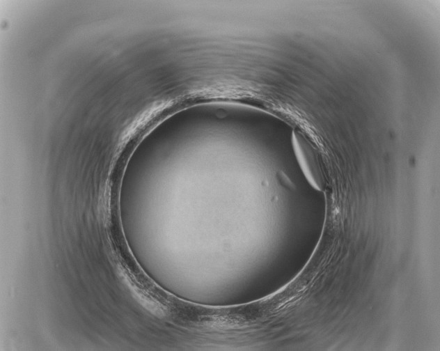 X0000087550678200705041328