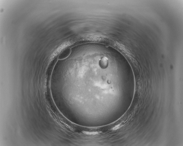 X0000087550679200705041328