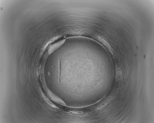 X0000087550681200705041328