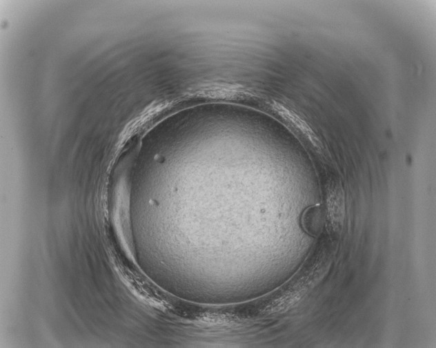 X0000087550682200705041328