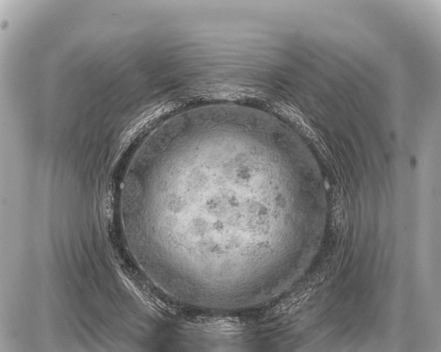 X0000087550683200705041328