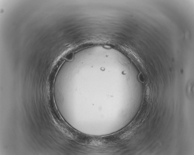 X0000087550684200705041328