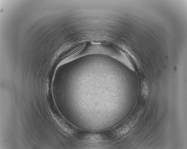 X0000087550685200705041328