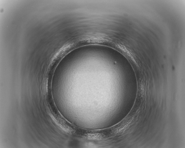 X0000087550686200705041328