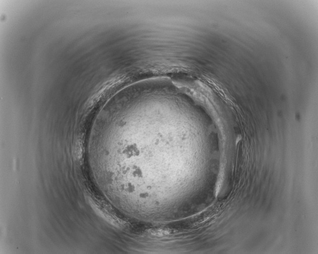 X0000087550687200705041328