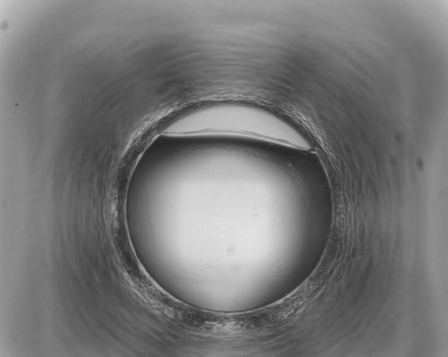 X0000087550688200705041328