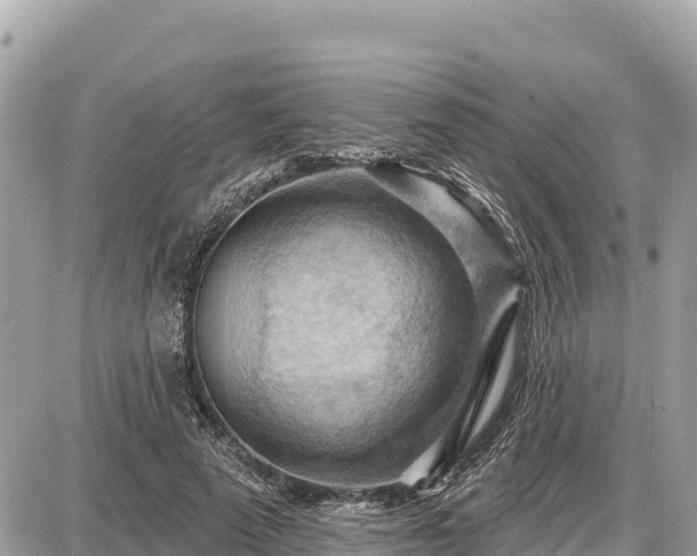 X0000087550689200705041328