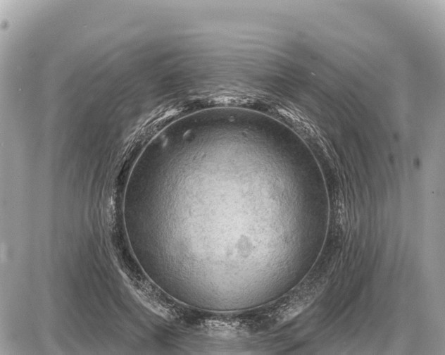 X0000087550690200705041328