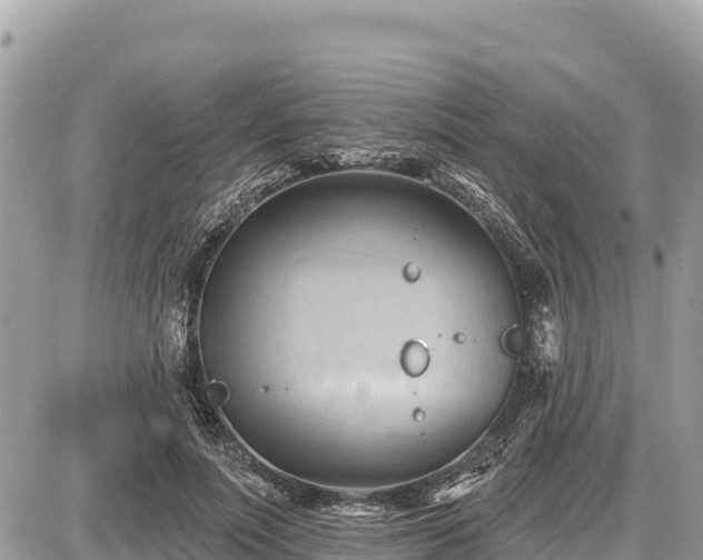 X0000087550691200705041328