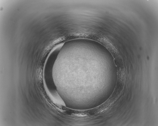 X0000087550692200705041328